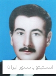 حکمعلی غضنفری